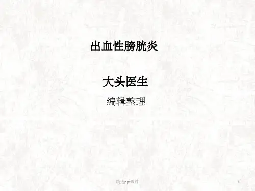 《出血性膀胱炎》PPT课件