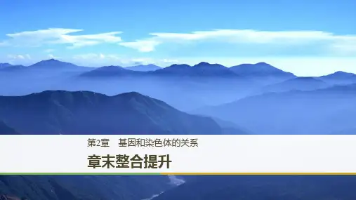 高一人教版生物必修二课件：第2章 章末整合提升