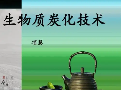生物质炭化技术