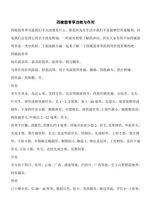 【优秀文档】四棱筋骨草功效与作用
