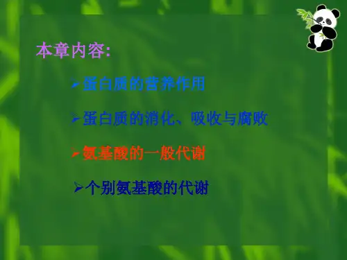 最新十章氨基酸代谢ppt课件