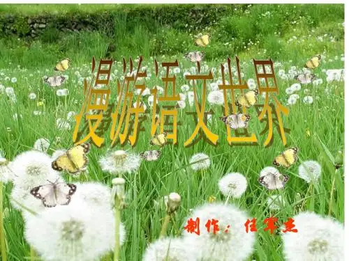 综合性学习：漫游语文世界PPT课件36 人教版 (共19张PPT)