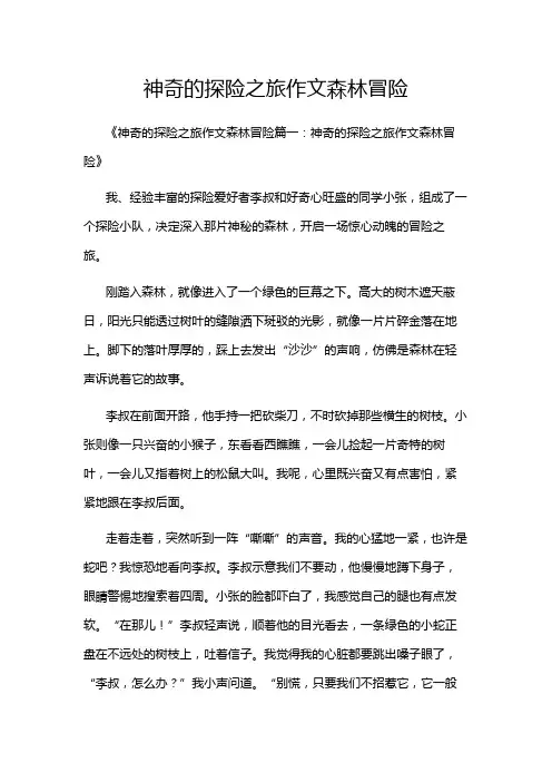 神奇的探险之旅作文森林冒险