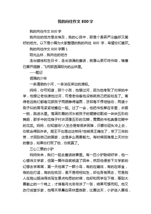 我的向往作文800字