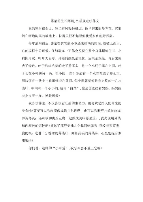荠菜的生长环境,外貌及吃法作文