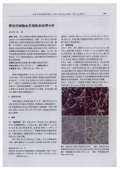 脾窦岸细胞血管瘤临床病理分析