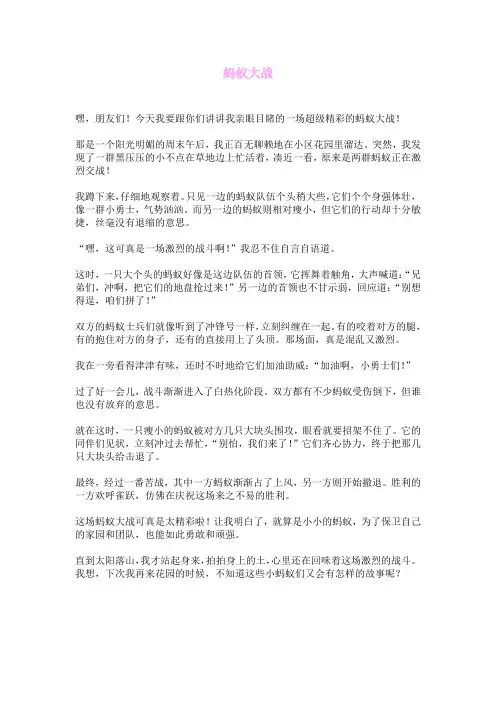 蚂蚁大战 