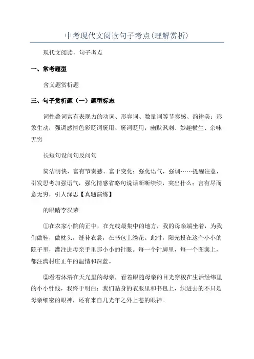 中考现代文阅读句子考点(理解赏析)
