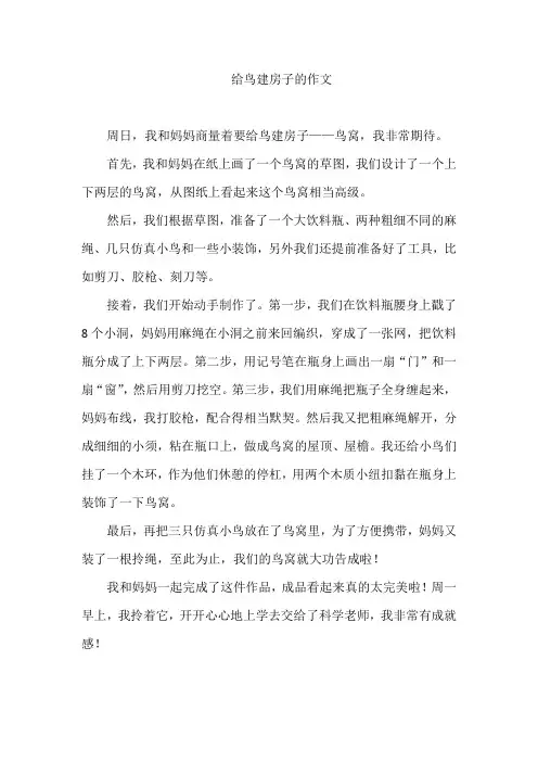 给鸟建房子的作文