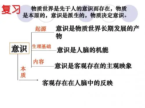 意识的作用(与导学案配套)