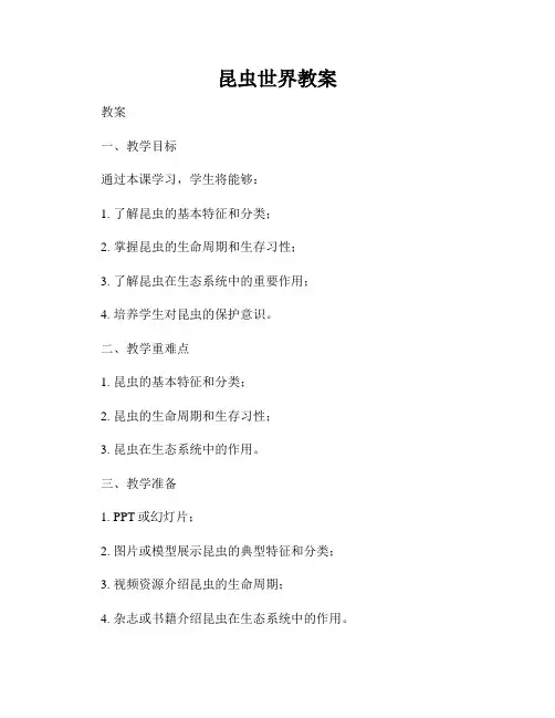 昆虫世界教案