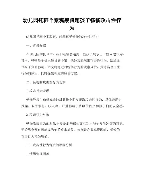 幼儿园托班个案观察问题孩子畅畅攻击性行为