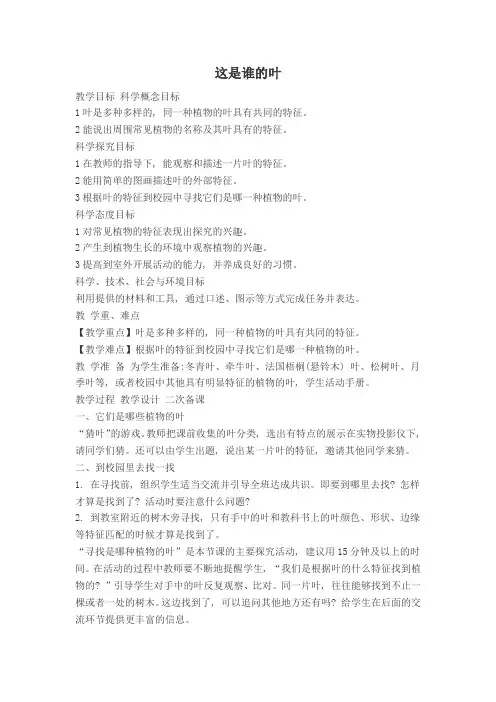 教科版科学一年级上册《植物 4 这是谁的叶》_8