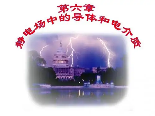 06静电场中的导体和电解质