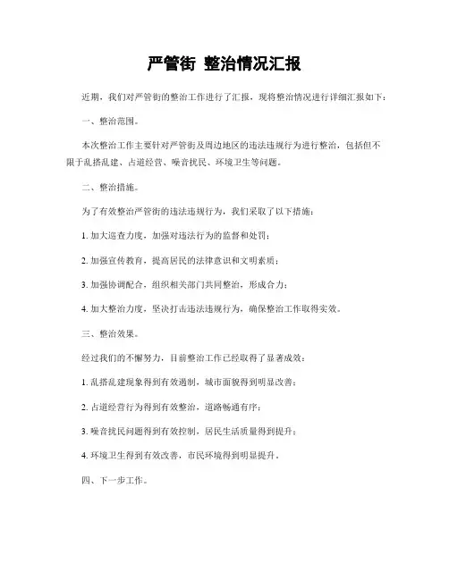 严管街 整治情况汇报