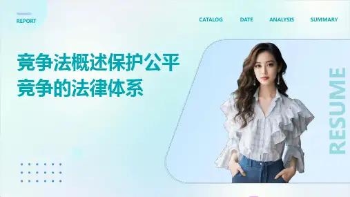 竞争法概述保护公平竞争的法律体系