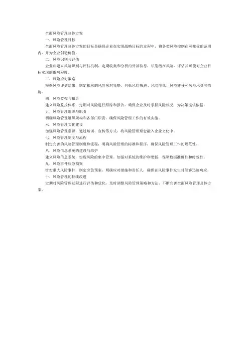全面风险管理总体方案