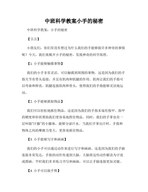 中班科学教案小手的秘密