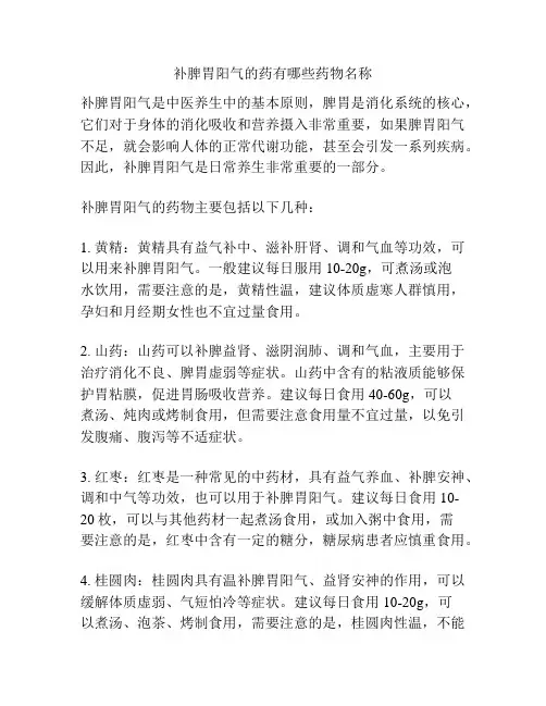 补脾胃阳气的药有哪些药物名称