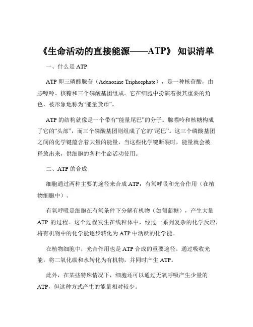 《生命活动的直接能源——ATP》 知识清单