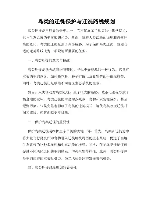 鸟类的迁徙保护与迁徙路线规划