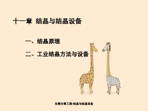 生物分离工程-结晶与结晶设备