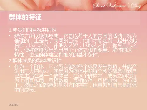 组织行为学第四章群体的一般理论