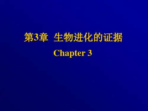 生物的起源与进化 生物进化的证据