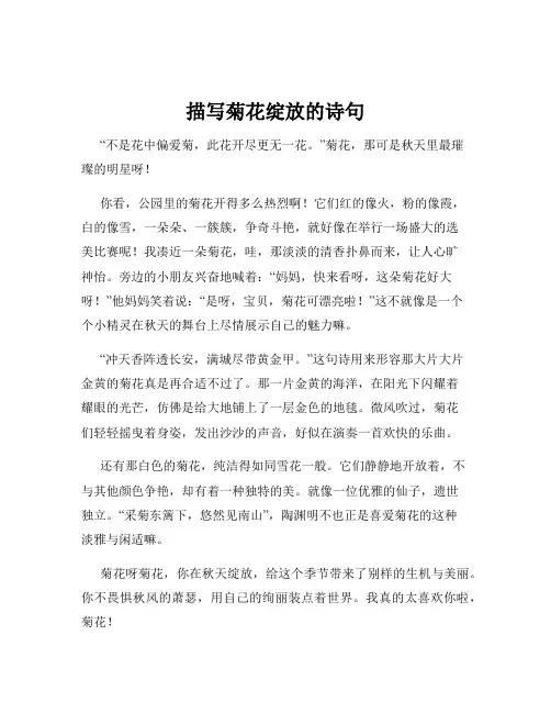 描写菊花绽放的诗句
