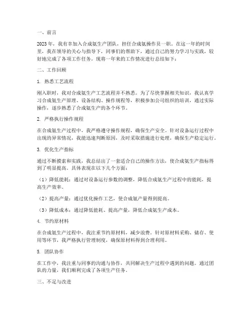 合成氨个人工作总结