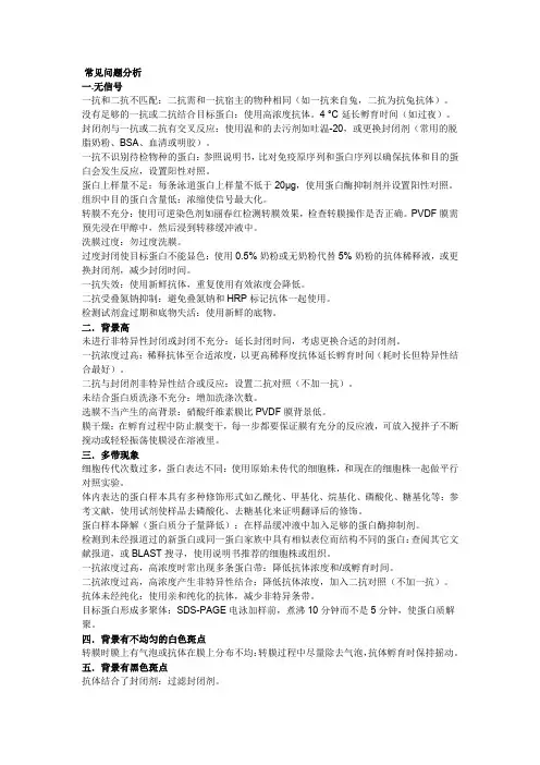 蛋白质免疫印迹技术常见问题分析 (1)
