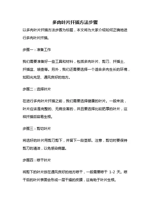 多肉叶片扦插方法步骤
