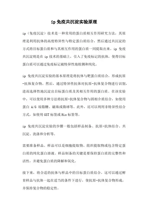ip免疫共沉淀实验原理
