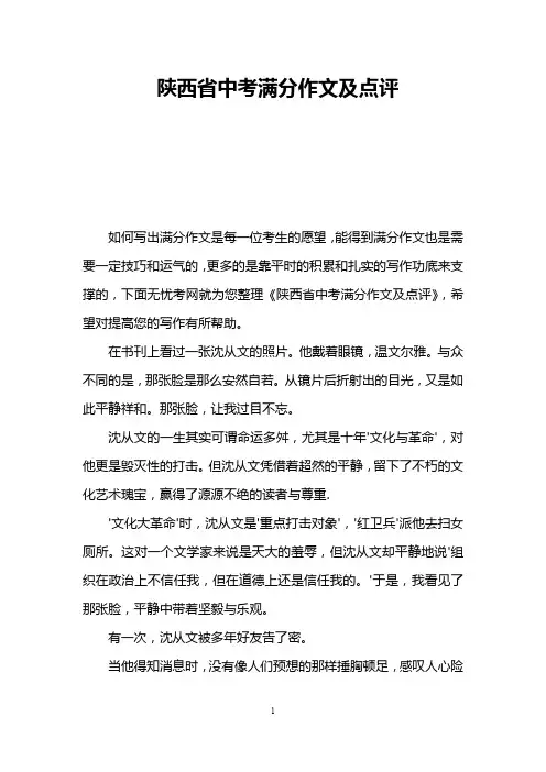 陕西省中考满分作文及点评