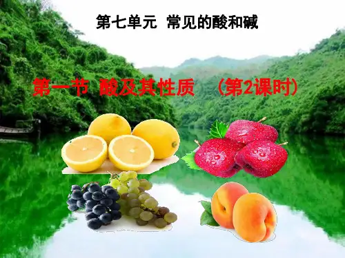 第一节酸及其性质课件(1)(鲁教版(五四制))