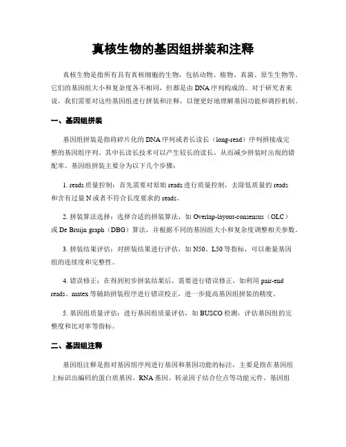 真核生物的基因组拼装和注释