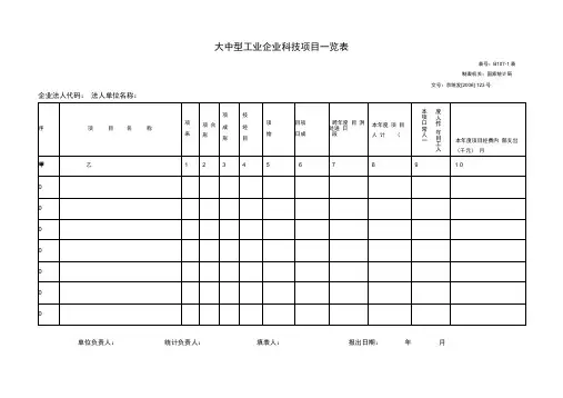 工业企业科技项目一览表
