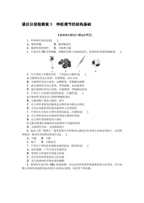 高中生物选择性必修一 高考训练 练习习题 课后分层检测案3