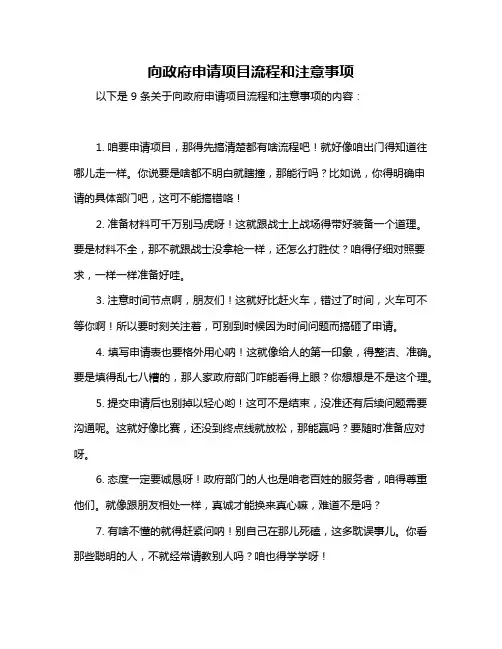 向政府申请项目流程和注意事项