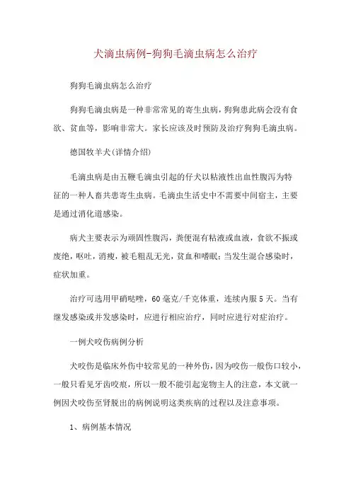 犬滴虫病例-狗狗毛滴虫病怎么治疗