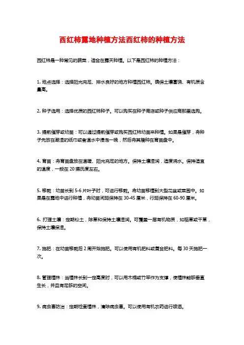 西红柿露地种植方法西红柿的种植方法