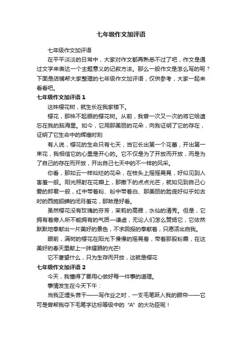 七年级作文加评语