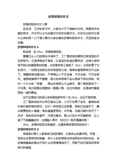 梦想和现实作文5篇