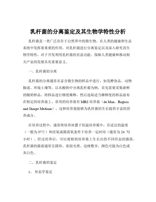 乳杆菌的分离鉴定及其生物学特性分析