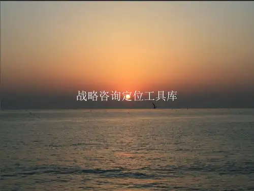 战略咨询定位工具库PPT课件