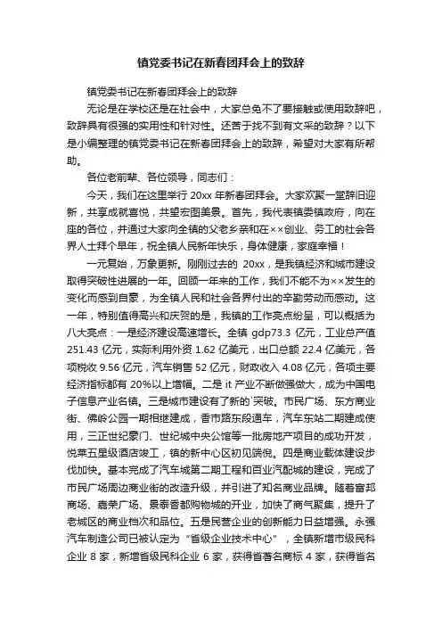 镇党委书记在新春团拜会上的致辞