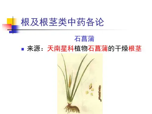 根及根茎类中药各论7