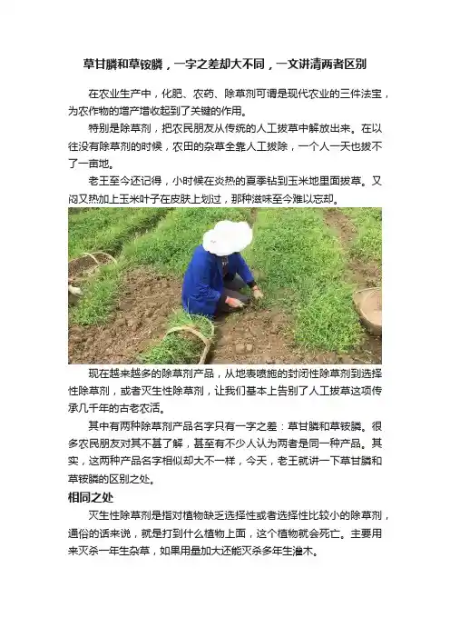 草甘膦和草铵膦，一字之差却大不同，一文讲清两者区别