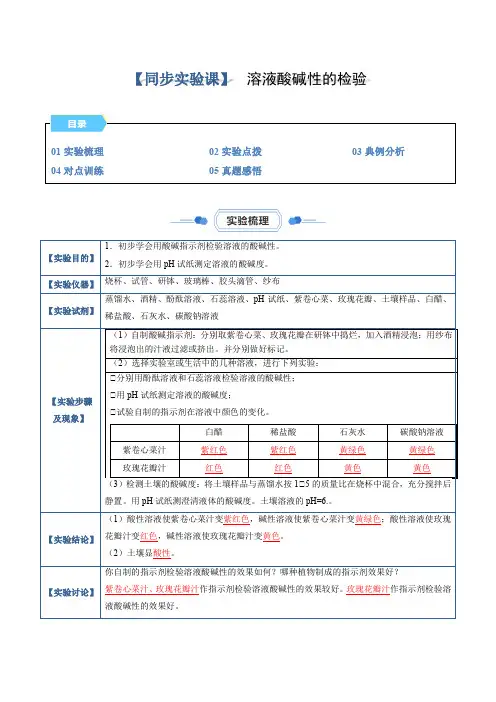 实验08 溶液酸碱性的检验(解析版)