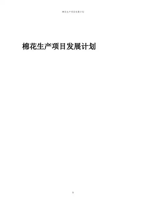 2024年棉花生产项目发展计划